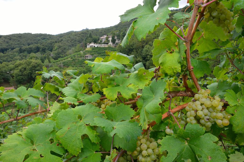 Agriturismo Crodi Miane ภายนอก รูปภาพ