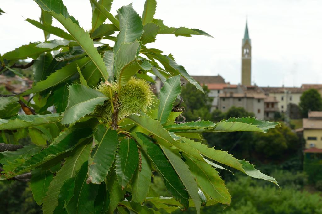 Agriturismo Crodi Miane ภายนอก รูปภาพ